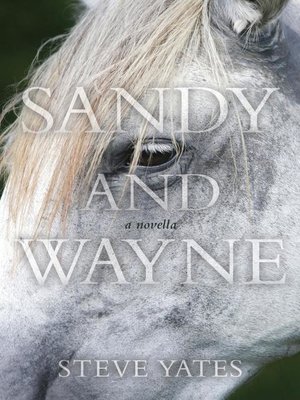 cover image of Sandy and Wayne